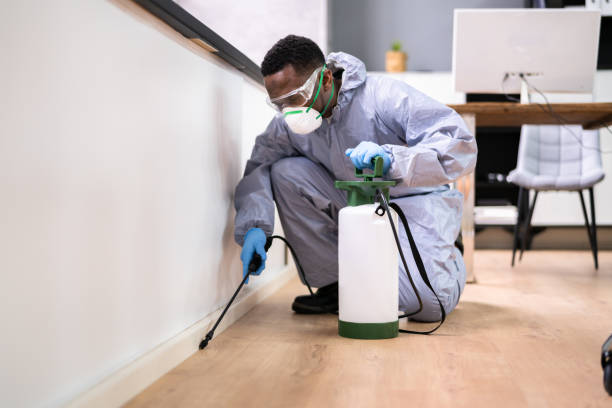 Emergency Pest Control in Orinda, CA